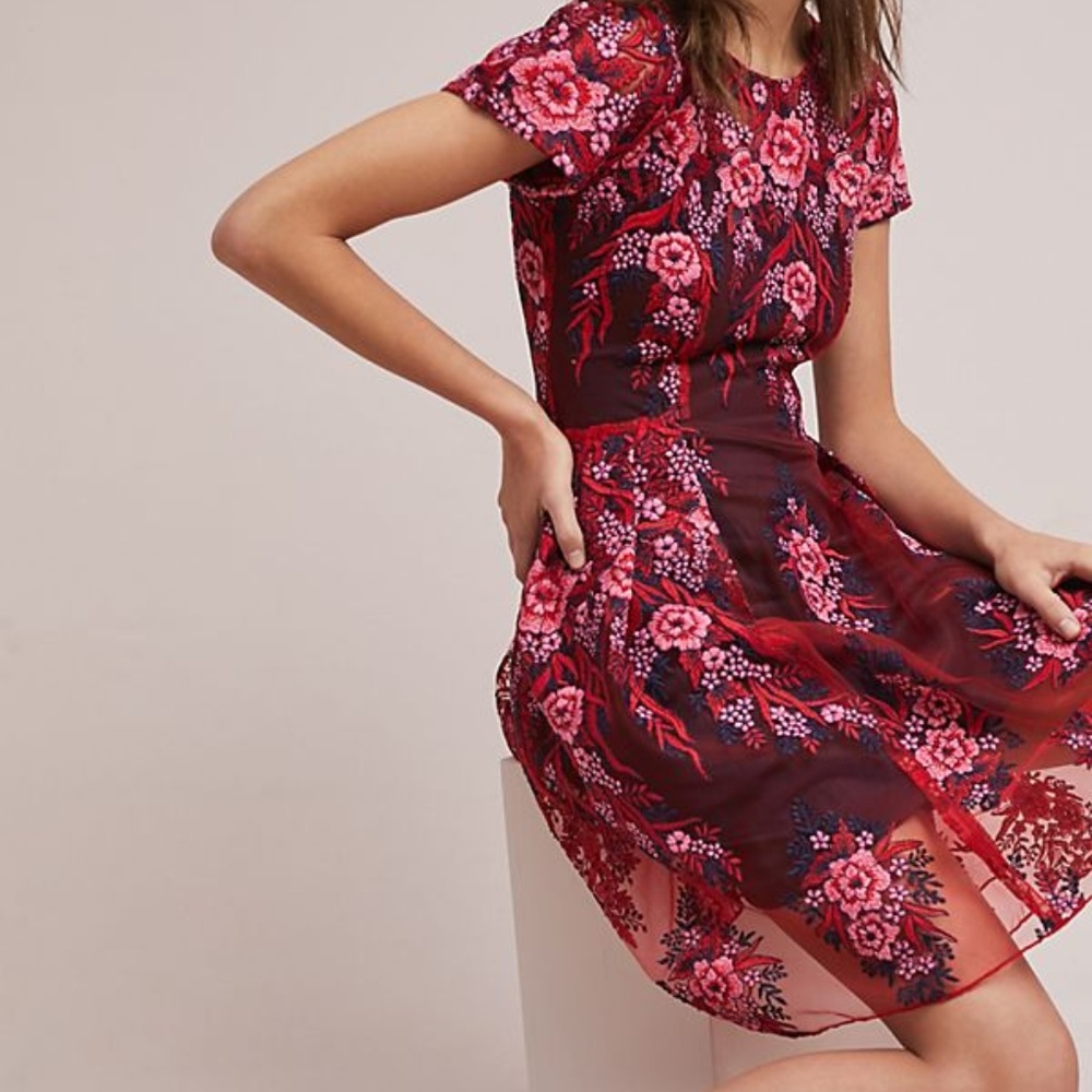 Anthropologie/Eva Franco Rosa Dress - SZ 4P